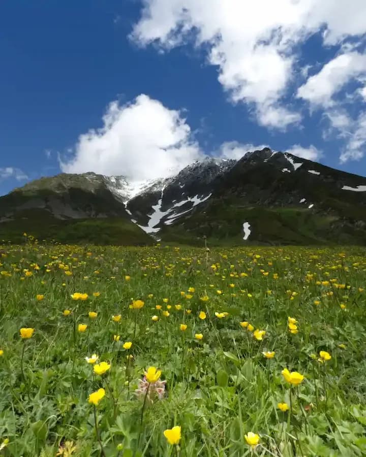 Бзерпинский Карниз в группе